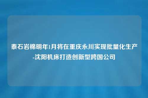 泰石岩棉明年1月将在重庆永川实现批量化生产-沈阳机床打造创新型跨国公司
